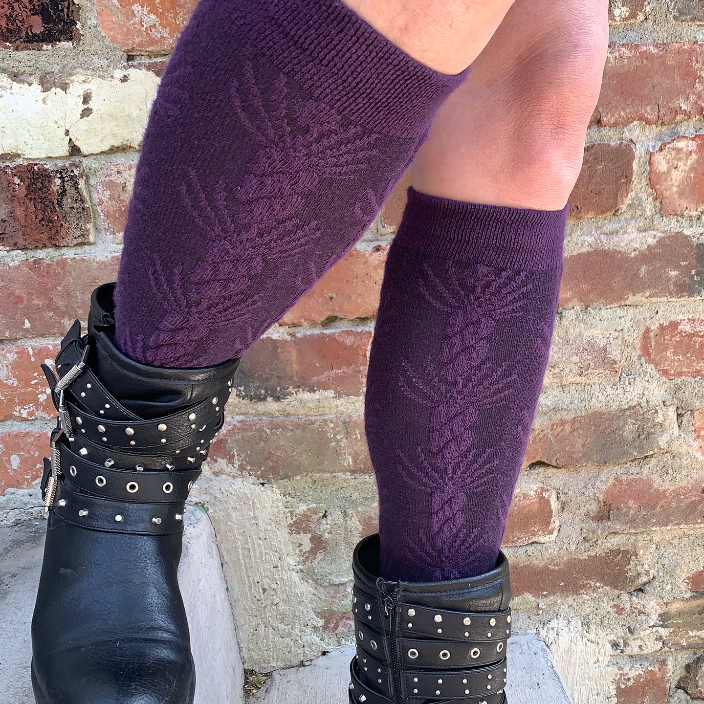 Knee High Collection Shop RocknSocks