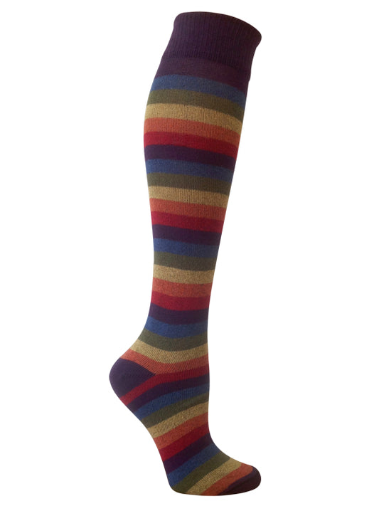 Iris Rainbow Stripe Knee High