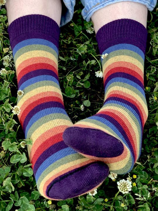 Iris Rainbow Striped Crew Socks